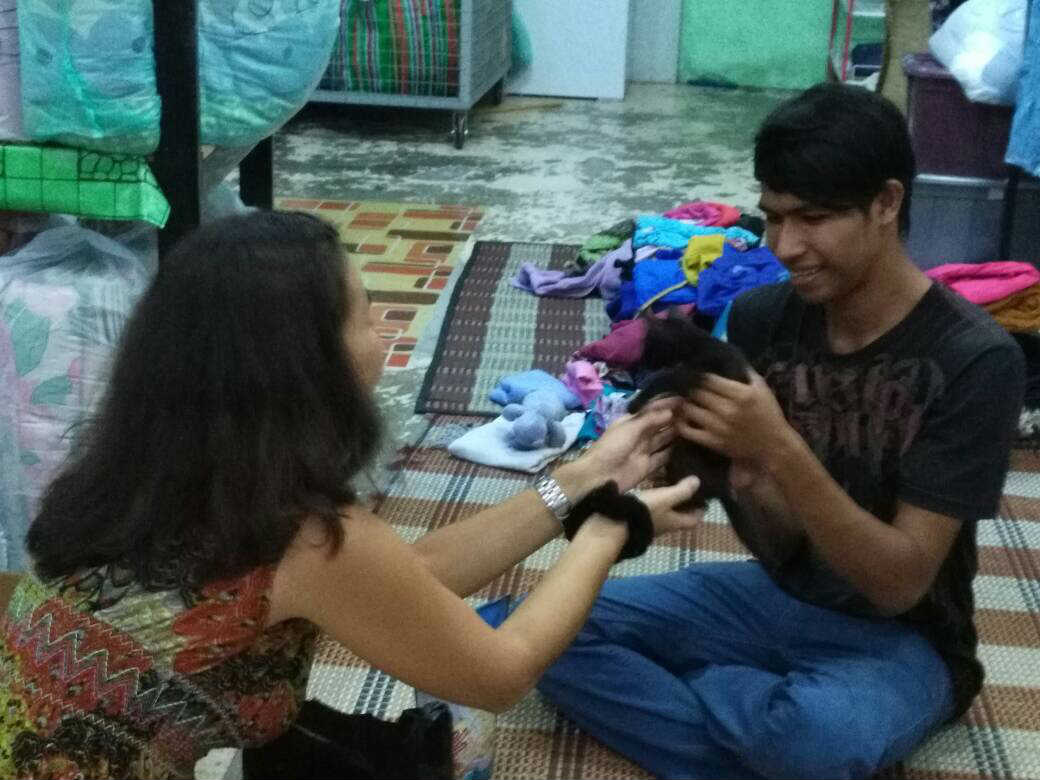 My unexpected kitty love story in Langkawi - Changing hands