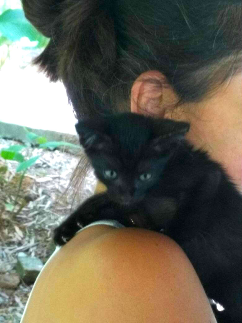 My unexpected kitty love story in Langkawi - Kitty on my shoulder