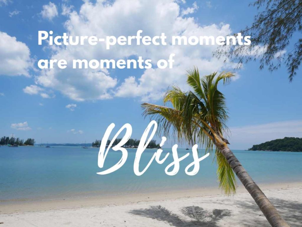 Picture perfect moments manifest bliss