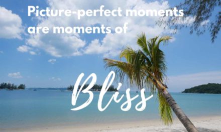 Picture perfect moments manifest bliss