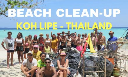 Beach Clean-up with Trash Hero Koh Lipe