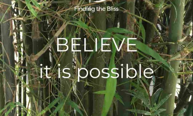 Believe it is possible