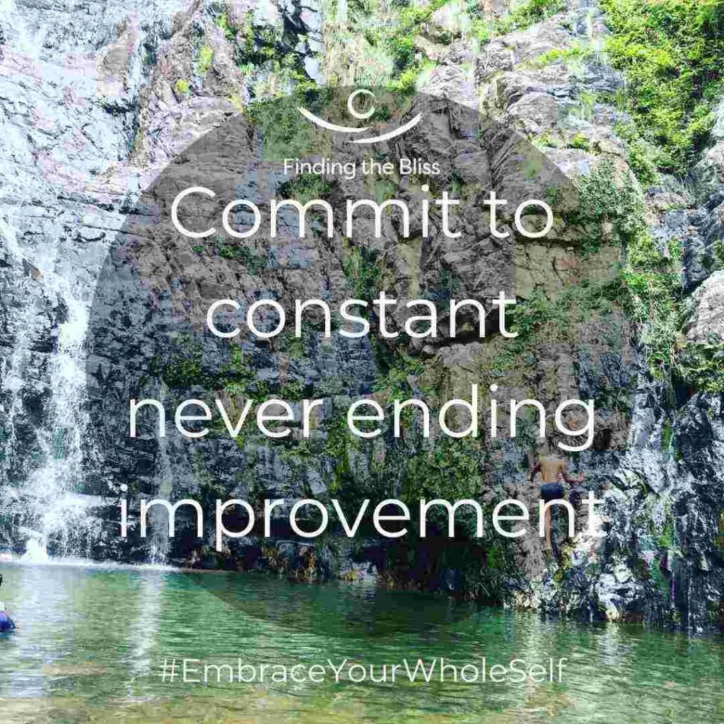 Commit to constant never ending improvement