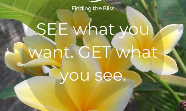 See what you want. Get what you see.