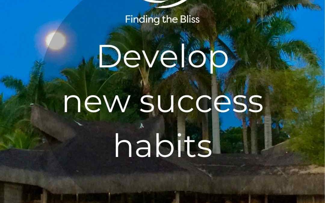 Develop new success habits