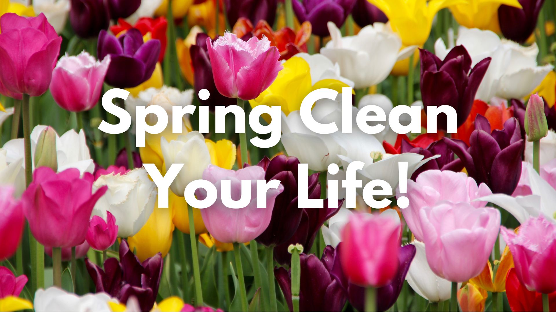 Spring Clean Your Life - Coaching Program